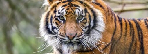 சோறிட்ட உறவுகள்!