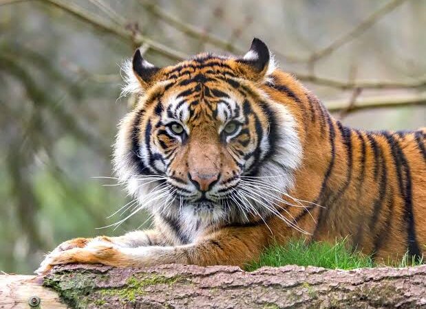 சோறிட்ட உறவுகள்!