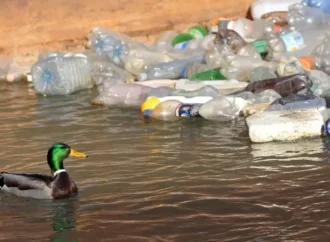 நெகிழி பயன்பாட்டை நிறுத்துவோம்-பினாங்கு பயனீட்டாளர் சங்கம் அழைப்பு