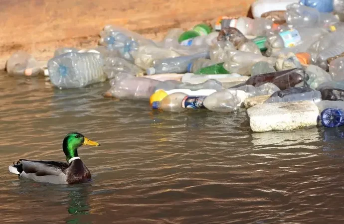 நெகிழி பயன்பாட்டை நிறுத்துவோம்-பினாங்கு பயனீட்டாளர் சங்கம் அழைப்பு